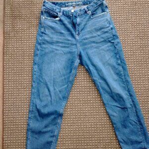AMERICAN EAGLE CURVY MOM JEAN